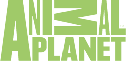 Animal Planet